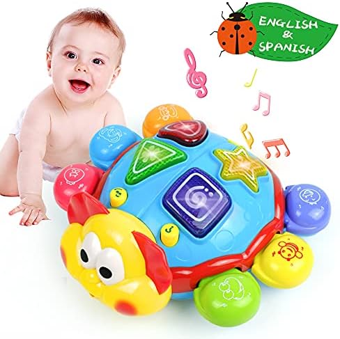 Five Star - Learning Fun Turtle