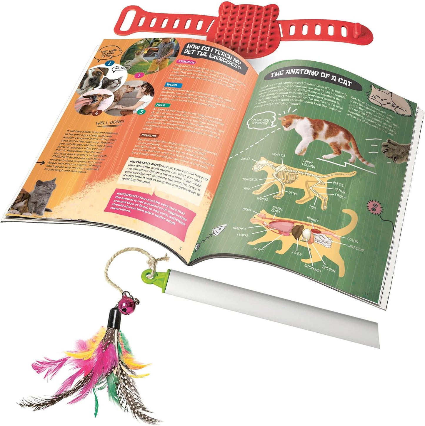 Clementoni - Science & Play, My 4-Legged Friends