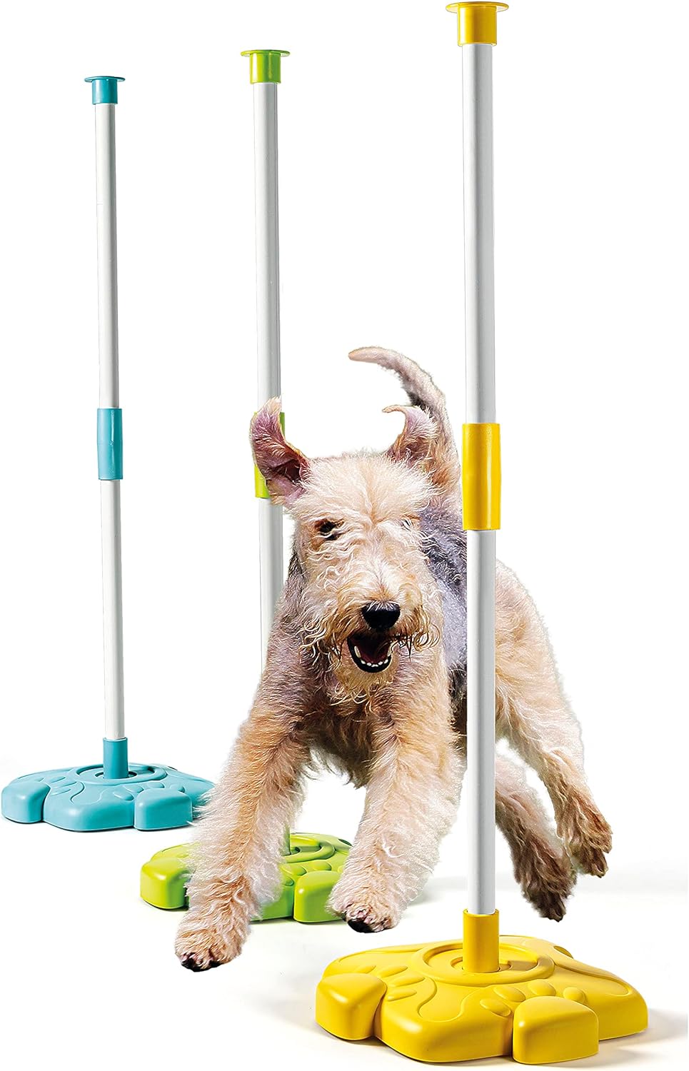 Clementoni - Science & Play, My 4-Legged Friends