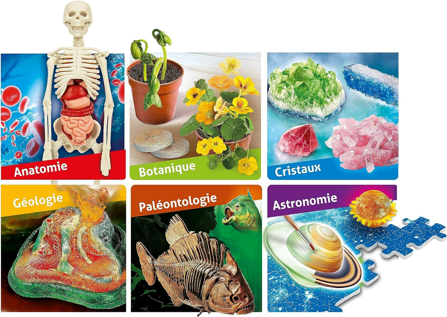 Clementoni - Science & jeu, Le Grand Coffret Du Scientifique