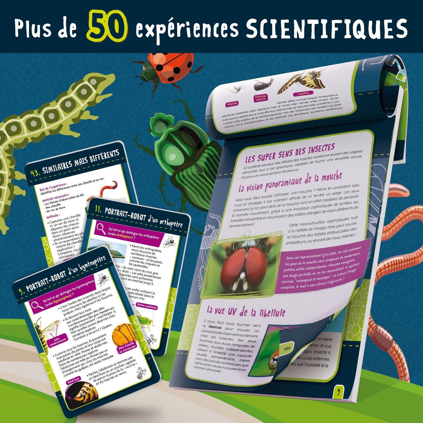 Lisciani - I'm A Genius, Science A La Maison Insectes