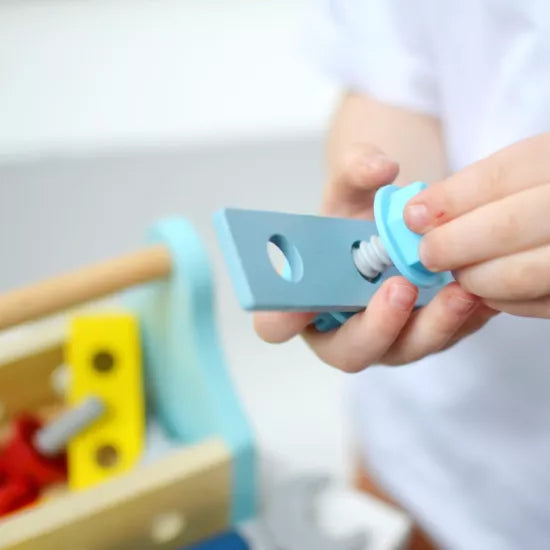 Tooky toy - Children's tools in a portable box