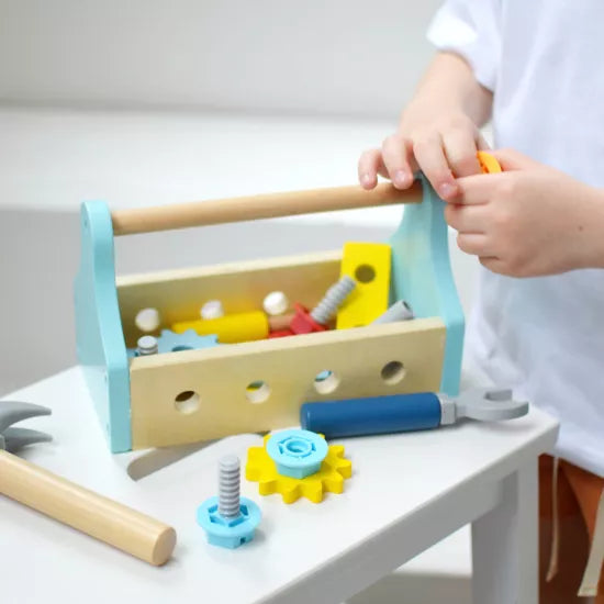 Tooky toy - Children's tools in a portable box