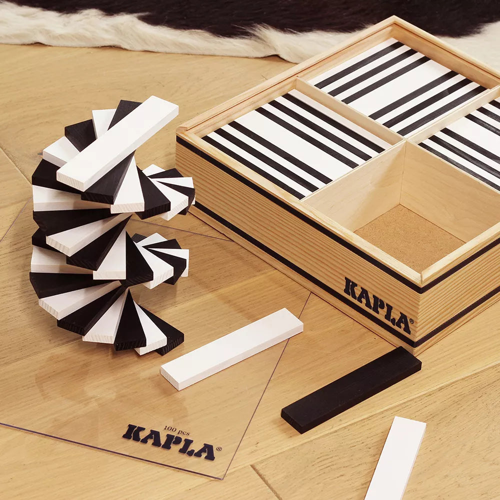 KAPLA 100 BLACK AND WHITE CASE