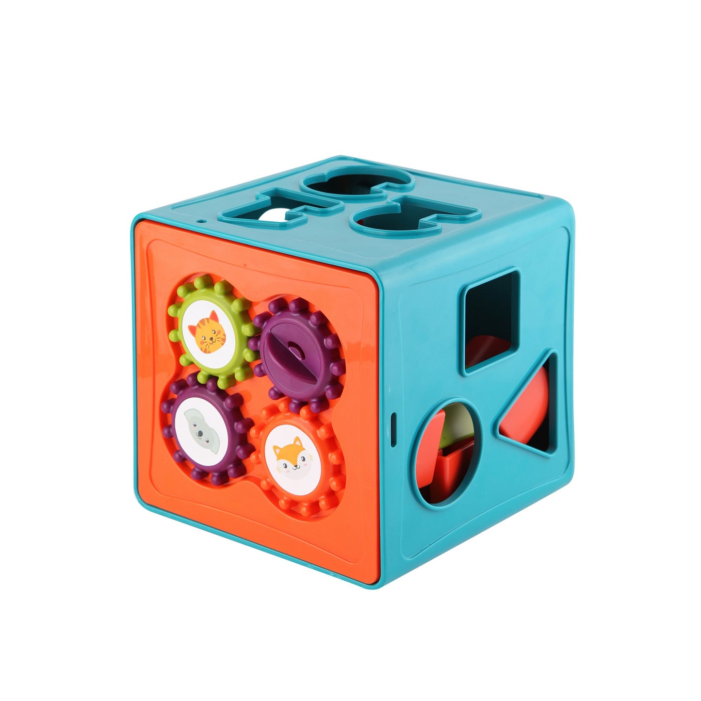 LC Shape Sorter & Activity Cube