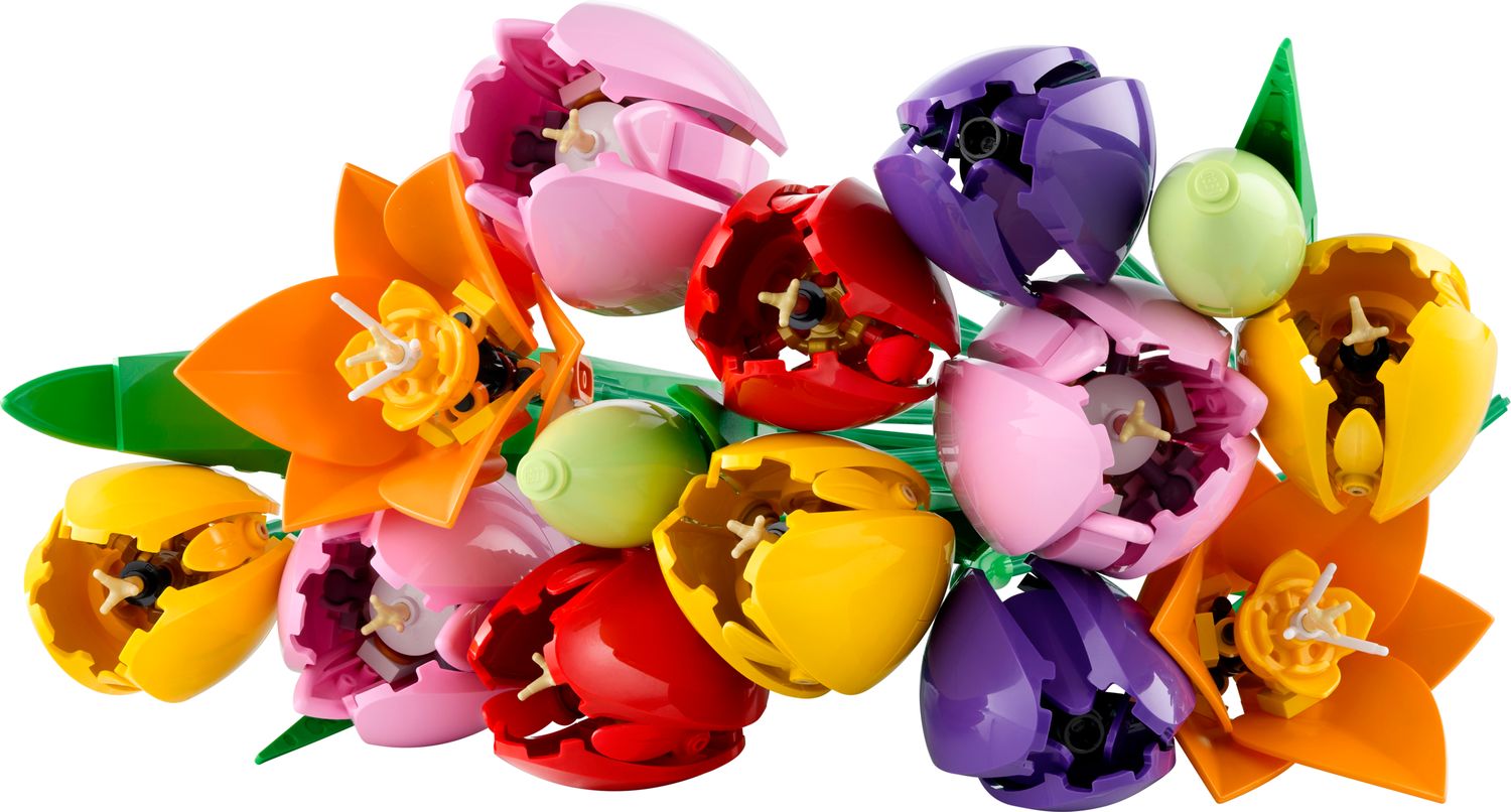 Tulip Bouquet