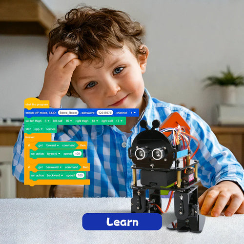 Acebott Remote Biped Panda