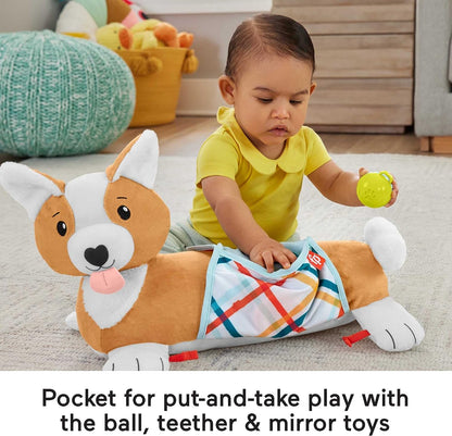 Fisher-Price - Baby Tummy Time Toys