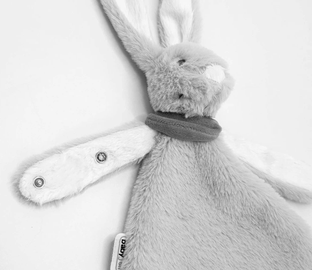 Babyjem - Bunny Sleeping Companion with Pacifier Strap
