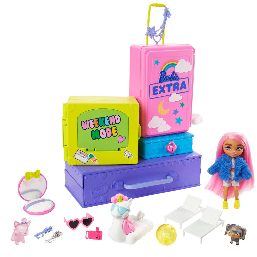 Barbie Extra Doll and Accessories