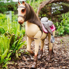 Our Generation - Morgan Horse